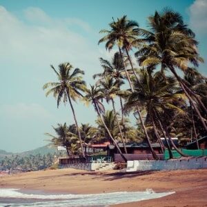goa-3-min