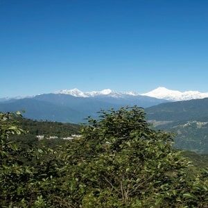 north-east-delight-1-min